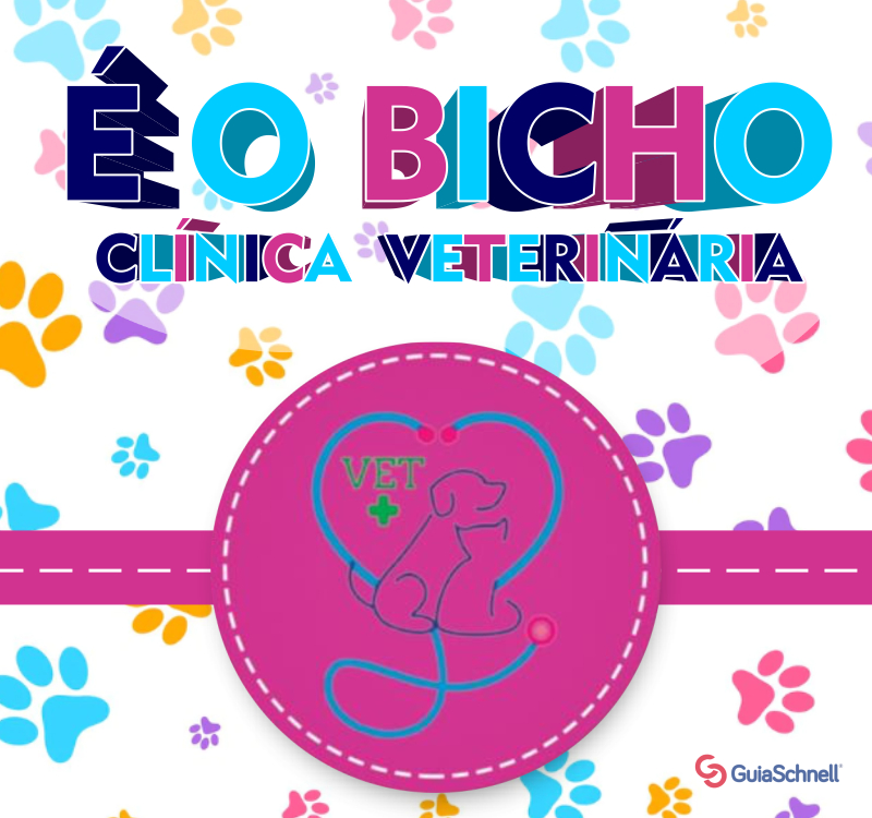 Telefone É o Bicho Clínica Veterinária em Palmas PR no GuiaSchnell Telefone É o Bicho Clínica Veterinária em Palmas PR no GuiaSchnell